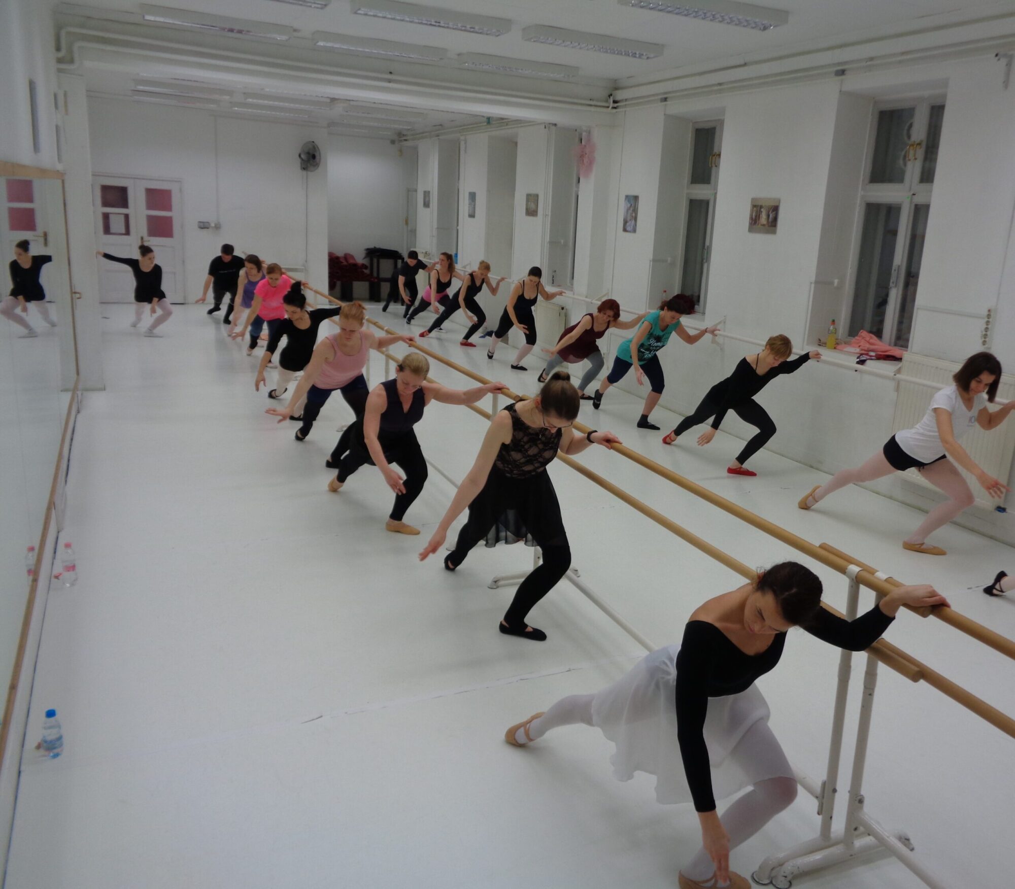 DSC00031 (2)